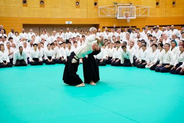 Aikido susreti