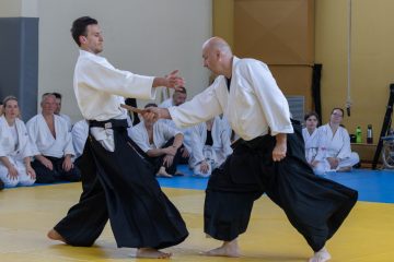 Sensei Malić
