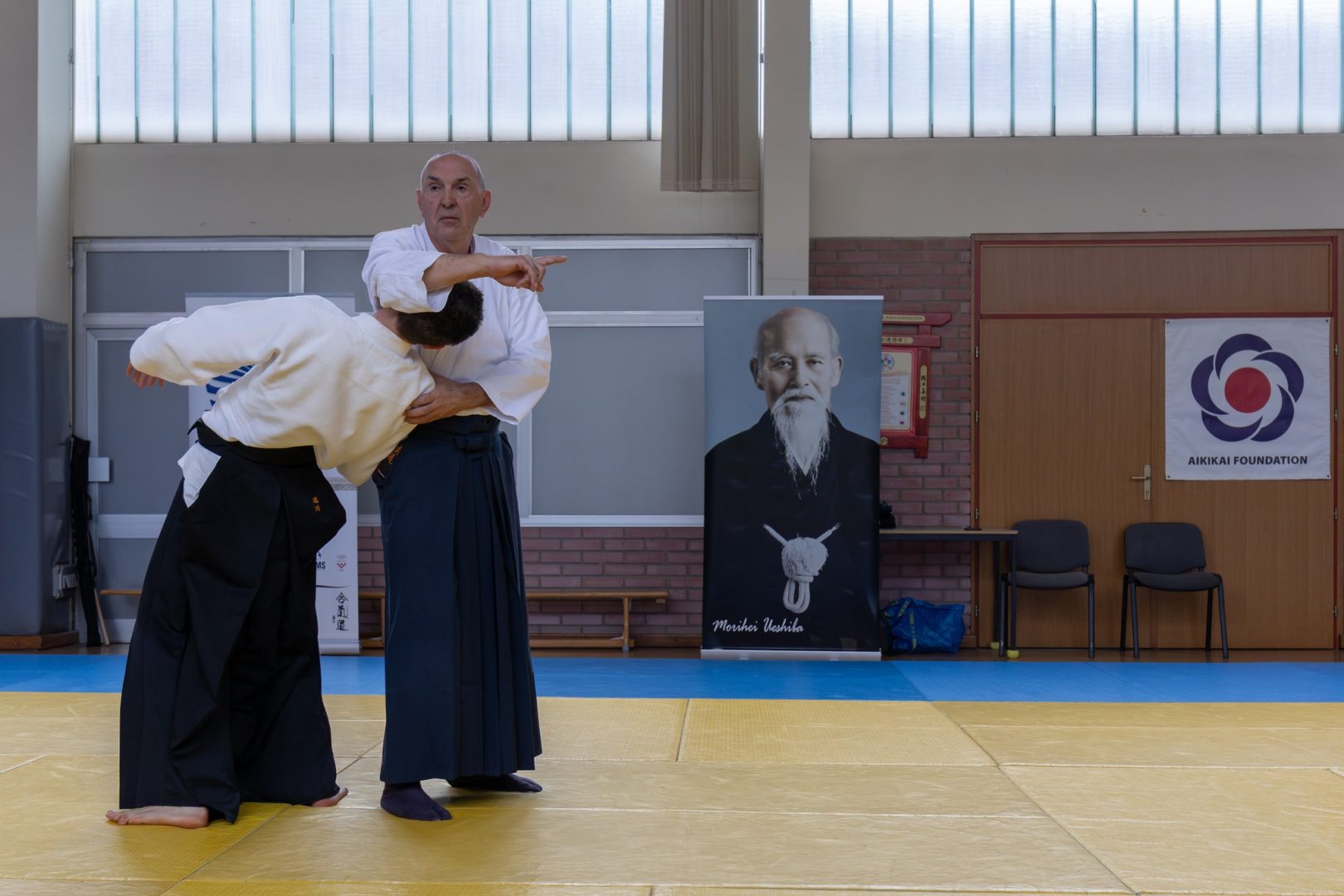 Sensei Alfirević