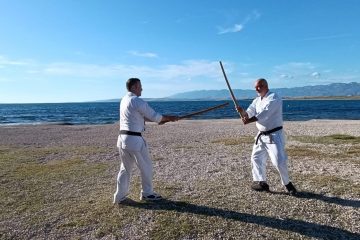 Vir aikiken