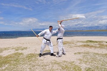 Vir aikiken
