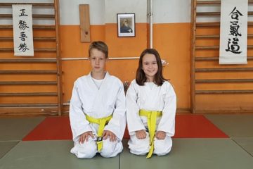 Brača i sestre na aikidu