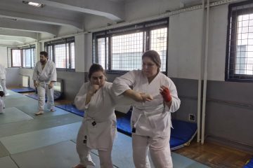 Od boksačkog direkta do aikido tehnike