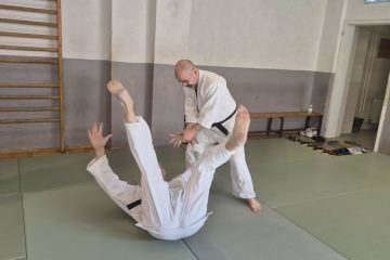 Od boksačkog direkta do aikido tehnike