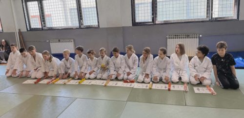 Polaganje dječjih kyu stupnjeva